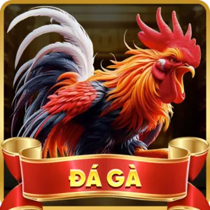Nhập thông tin đăng nhập abc8 app android